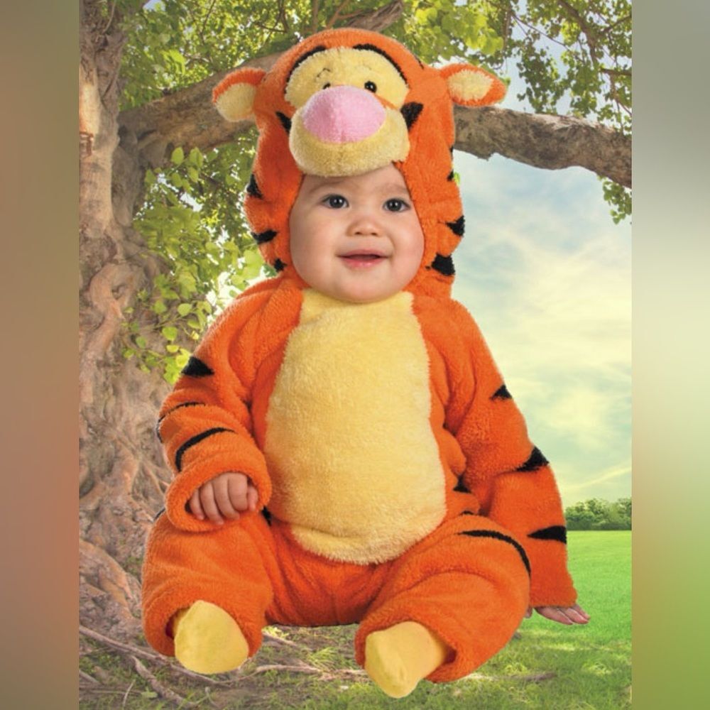 Disney Winnie the Pooh Tigger Costume Infant 24M One Piece Halloween Hooded